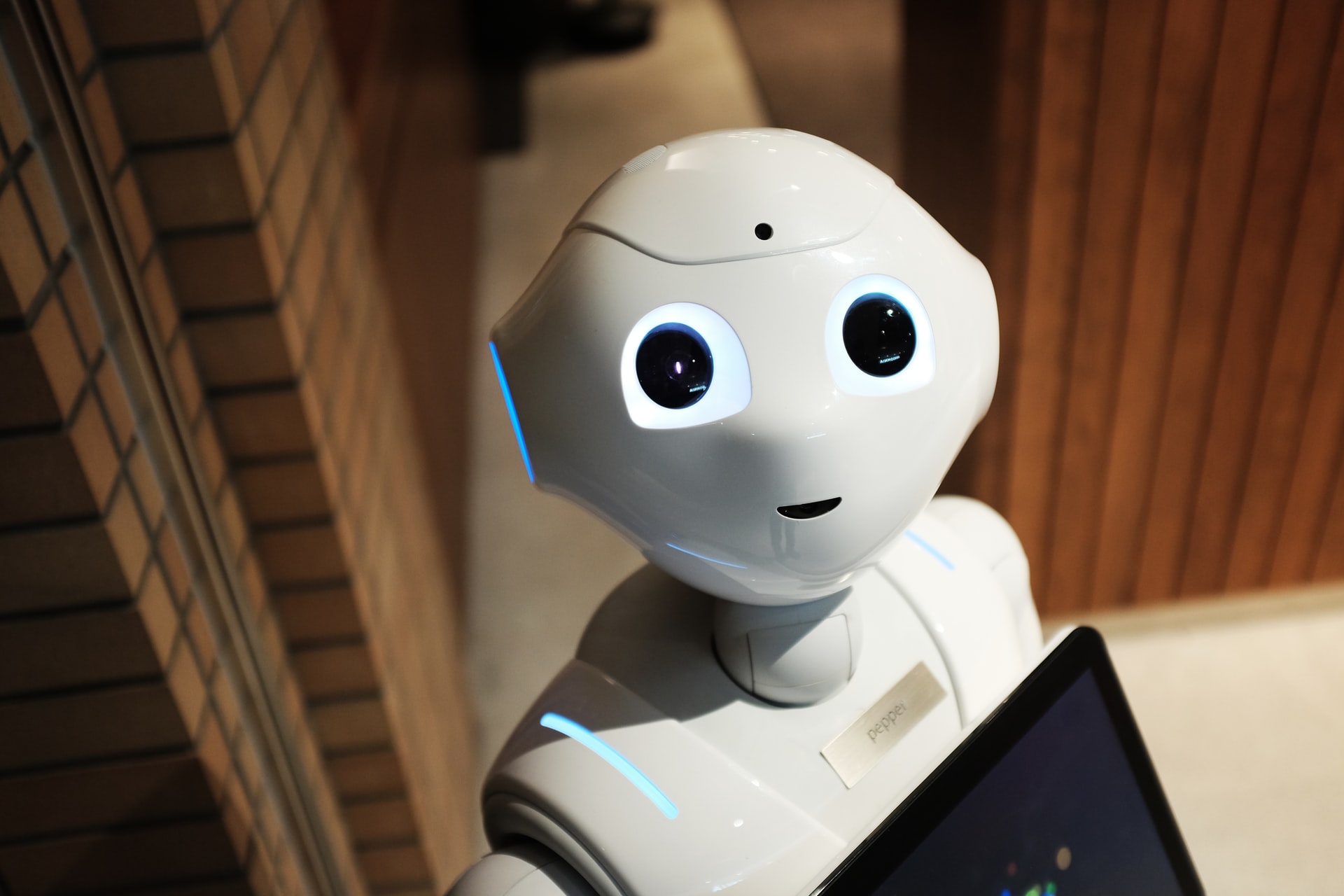 A robot looking at the camera